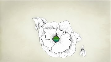 Healthcare Email Lists - B2B Scorpion