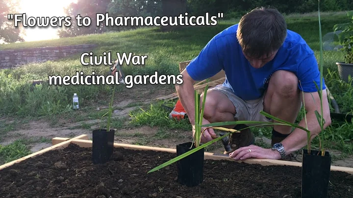 Civil War Medicinal Gardens with Greg Susla