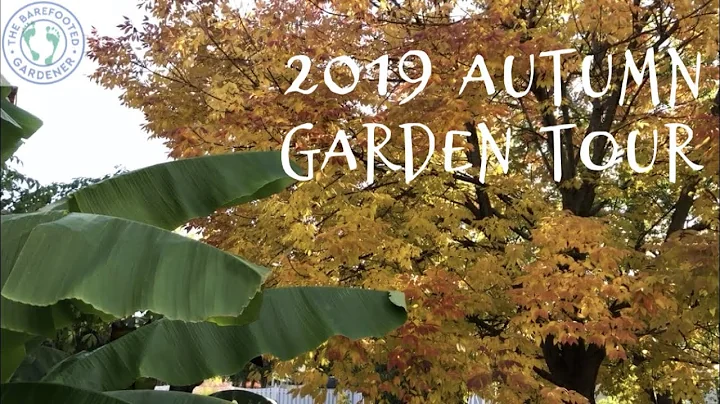2019 Autumn Garden Tour | The Barefooted Gardener