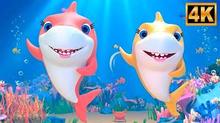 Baby Shark Song for Kids & More Preschool Rhymes by Little Treehouse