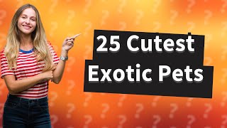 Can I Own an Exotic Pet? Discover the 25 Cutest Options!