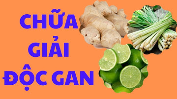 Chữa Giải Độc Gan - Gừng, Chanh, Xả | Mẹo chữa bệnh
