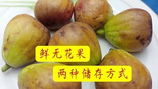 鲜无花果怎么样储存?有两种方法,放一年也不坏