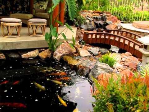 Traditional Japanese Koi Pond and Stream Landscape by San Diego Ponds