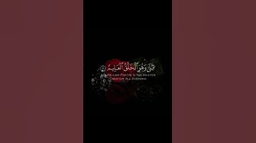 [اوليس الذي خلق السماوات والأرض ]🌿قرأن كريم سورة يس ماهر المعيقلي 🌿