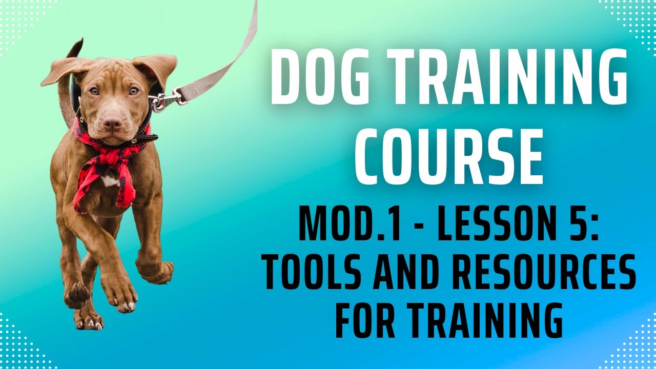 DOG TRAINING COURSE Mod 1 Lesson 5 Tools And Resources For dog-training-course-mod-1-lesson-5-tools-and-resources-for