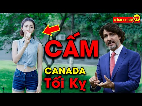 🔥10 Thứ BỊ CẤM Ở CANADA Được Thế Giới Ủng Hộ Mạnh Mẽ Nhưng Có Vài Thứ Thua Xa VN | Kính Lúp TV