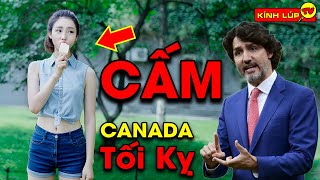 🔥10 Thứ BỊ CẤM Ở CANADA Được Thế Giới Ủng Hộ Mạnh Mẽ Nhưng Có Vài Thứ Thua Xa VN | Kính Lúp TV