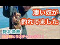 011再UP【糸島 2月 野北漁港団体戦 】ヒラメチャレンジ！！そろそろ釣りたいヒラメちゃん！fukuoka fishing club in nokita fishing port