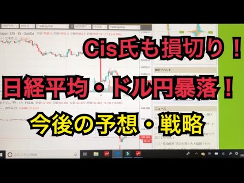 日経平均20000円割れ!今後の予想・戦略。