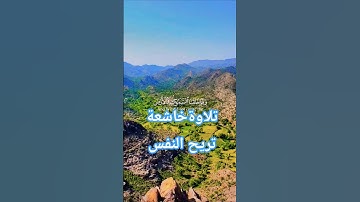 تلاوة خاشعة بصوت جميل ومؤثر يريح القلب #elmulquranعلم #قران_كريم #تلاوة #المصحف #اكسبلور #trend