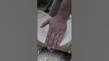 Off grid log cabin built by one person single handedly stacking very heavy logs #shorts