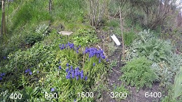 GoPro Hero 4 - ISO Limit Comparison