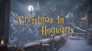 𝙿𝚕𝚊𝚢𝚕𝚒𝚜𝚝 ✨ | Christmas in Hogwarts | Magical Winter Orchestra Playlist