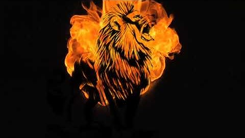 Lion Intro Template Without Text | No Copyright | Direct Download Link