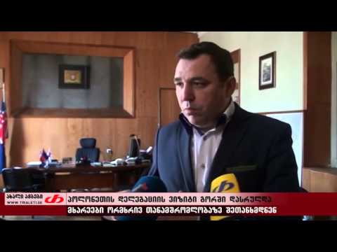 გორში პოლონეთის დელაგაციის ვიზიტი დასრულდა