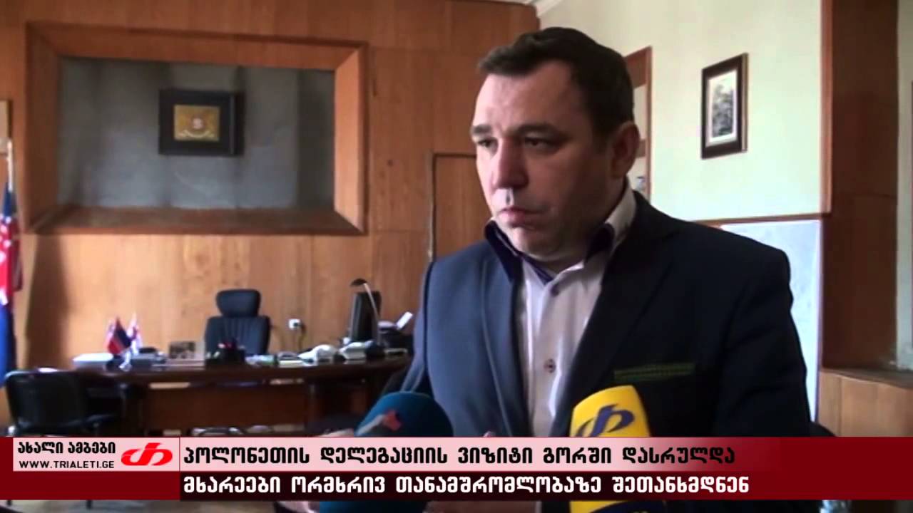 გორში პოლონეთის დელაგაციის ვიზიტი დასრულდა - YouTube