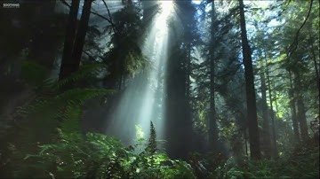 سورة الكهف Surah Al Kahf قارئ محمد فوزي