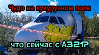 Чудо на кукурузном поле! Что с самолетом в 2021 году? VQ-BOZ // 13 августа 2021 года