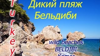 Отдых в Турции! Kemer\Beldibi\wild beach\Кемер,Бельдиби,дикий пляж. Собаки в Турции Отдых в Турции! Kemer\Beldibi\wild beach\Кемер,Бельдиби,дикий пляж. Собаки в Турции