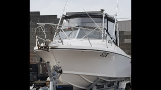 My 243L Whitepointer boat