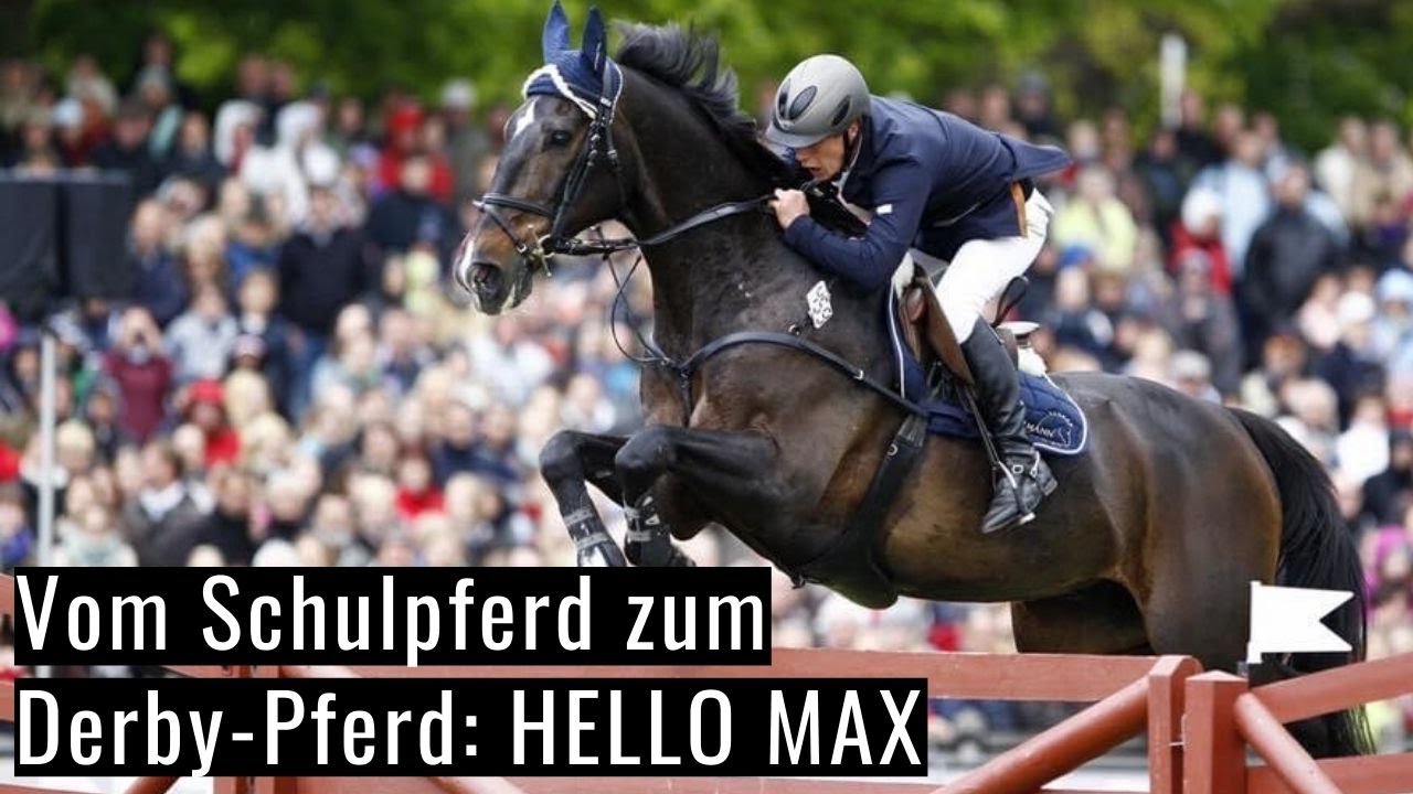 Vom Schulpferd zum Derby-Pferd 😱 | Ein ganz besonderes Pferd! | Gilbert Tillmann's Hello Max