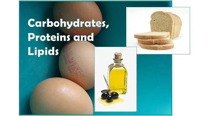 Carbs, proteins and lipids