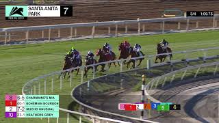 Vidéo de la course PMU BUENA VISTA STAKES