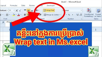 គន្លឹះនៅក្នុងការប្រើប្រាស់ Wrap text  នៅក្នុងកម្មវិធី Ms.Excel/ How to use Wrap Text in Ms .Excel