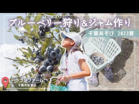 ドラゴンファームの紹介動画サムネイル