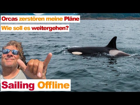 Video: Was ist ein Offline-Angriff?