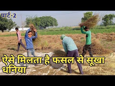 How to prepare coriander seeds Part 2 !धनिया का बीज कैसे