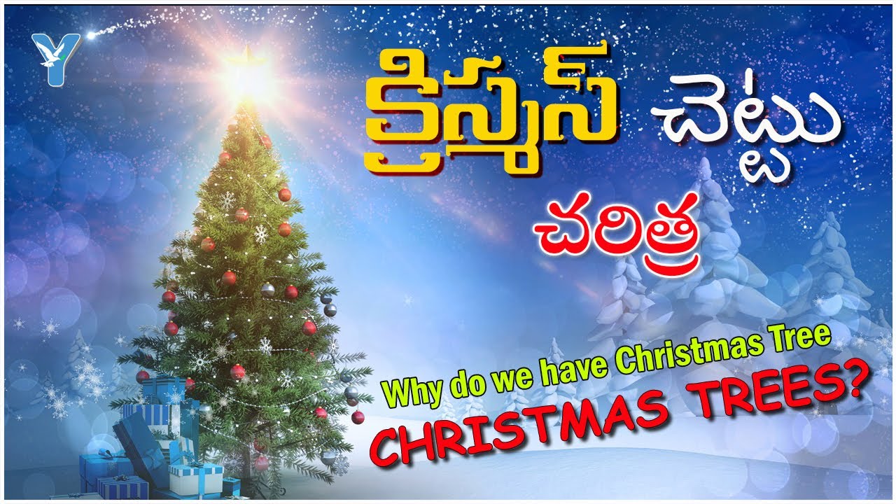 History Of Christmas Tree In Telugu Background Of Christmas Tree history-of-christmas-tree-in-telugu-background-of-christmas-tree
