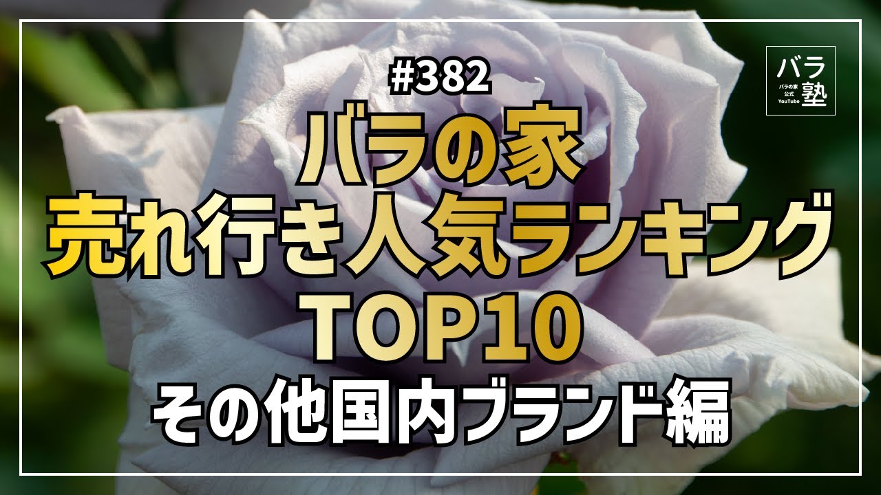 382 Rose House Best Selling Top 10 Other Domestic Brands - YouTube