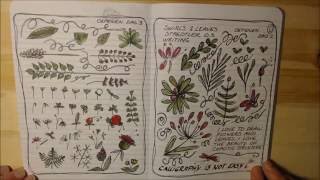 My first Bullet Journal - flip through 1