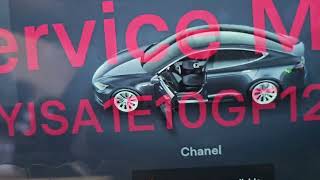 Tesla Model S - Parking Assistance Fault Code and Diagnosis screenshot 5