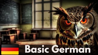 Mastering Basic German Sentences For Beginners ⭐⭐⭐⭐⭐