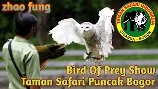 Pertunjukan Burung di Taman Safari