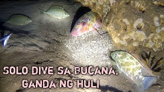 Night Spearfishing Philippines solo dive sa Bucana, ganda ng huli