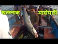 खोल समुद्रातील सुरमई माशाची खतरनाक मासेमारी | Best fishing video 2021 | Rod fishing |