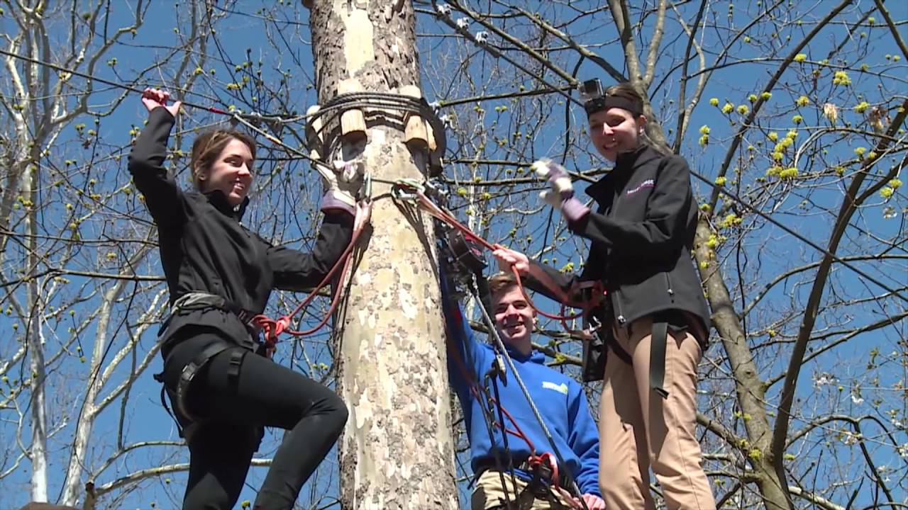 Valley Forge Tourism