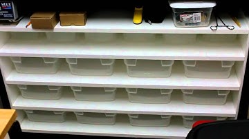 Ball Python Collection