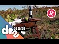 Pitarra, el vino que nos une | Dos de Tarde