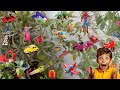 Jungle me mile khilone 🚗🚗. cartoon video.toy wala cartoon video.mini tractor jcb car jcb video 
