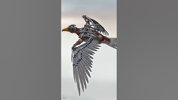 bird animation in creo