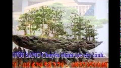 :0932351048.]] nhận cắt, tỉa, chăm sóc cây cảnh quận 9.tphcm