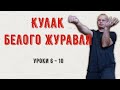 Кулак белого журавля Уроки с 6 по 10 Анонс @fighter_map