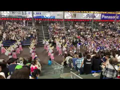 阿波踊り藍場浜演舞場２部総踊り19ライブ Awa Odori Youtube