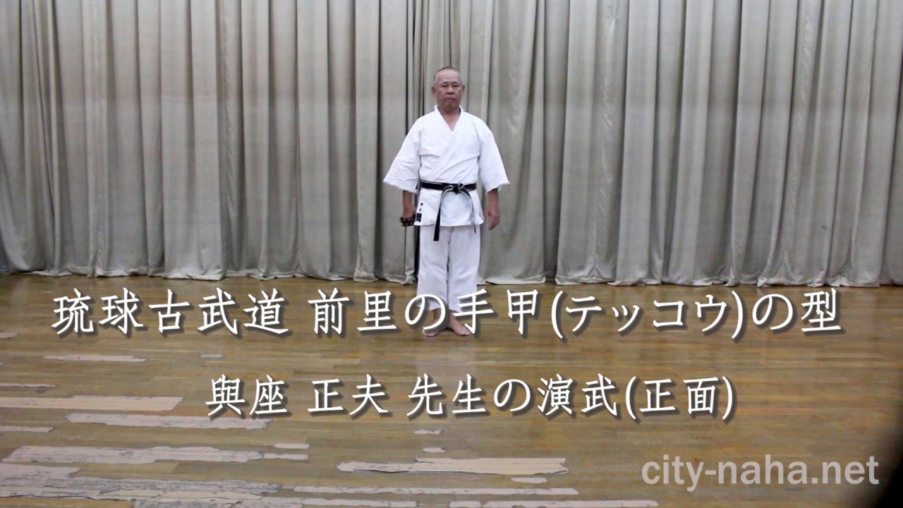 琉球古武道　鉄甲 鉄甲：バフ仕上 / 255g | 琉球古武道SHOP NRY