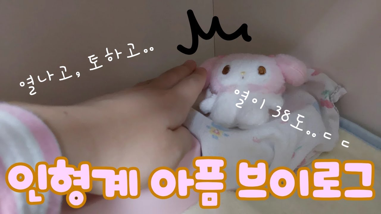 인형계 새벽 브이로그